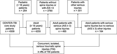 Concomitant spine trauma in patients with traumatic brain injury: Patient characteristics and outcomes